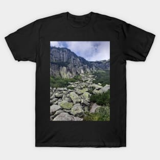 Rocks T-Shirt